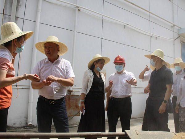 中國(guó)農(nóng)業(yè)發(fā)展銀行糧棉油部總經(jīng)理李楠到新干公司調(diào)研夏糧收購(gòu)工作