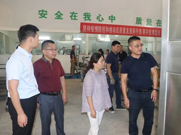 大成國(guó)資集團(tuán)黨委委員、財(cái)務(wù)總監(jiān)吳美娟到江糧集團(tuán)樟樹油廠調(diào)研