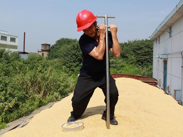 致敬高溫下的勞動(dòng)者：烈日下“汗”衛(wèi)糧食安全的原糧質(zhì)檢員