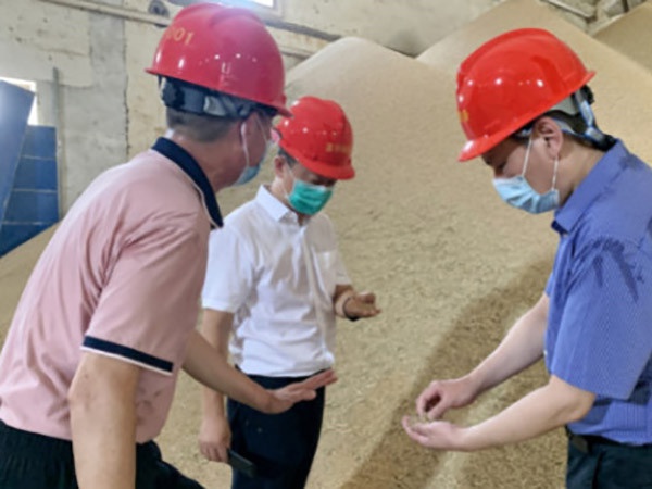 兩級紀委上下聯(lián)動，護航夏糧“顆粒歸倉”——大成國資集團紀委聯(lián)合江糧集團紀委調(diào)研督導(dǎo)夏糧收購工作