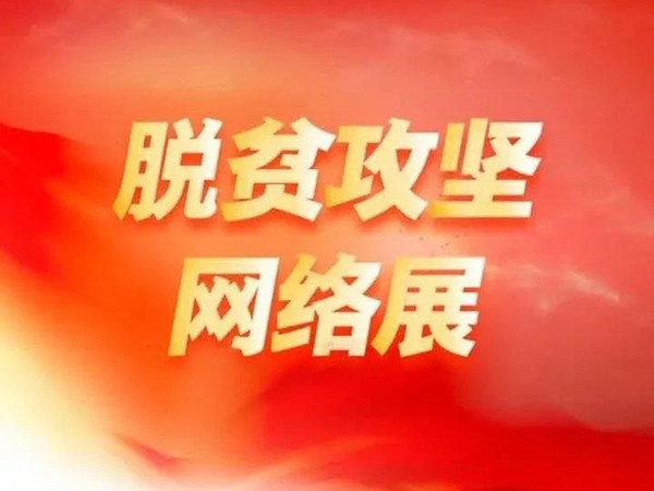 關(guān)于組織瀏覽觀看脫貧攻堅(jiān)網(wǎng)絡(luò)展的通知