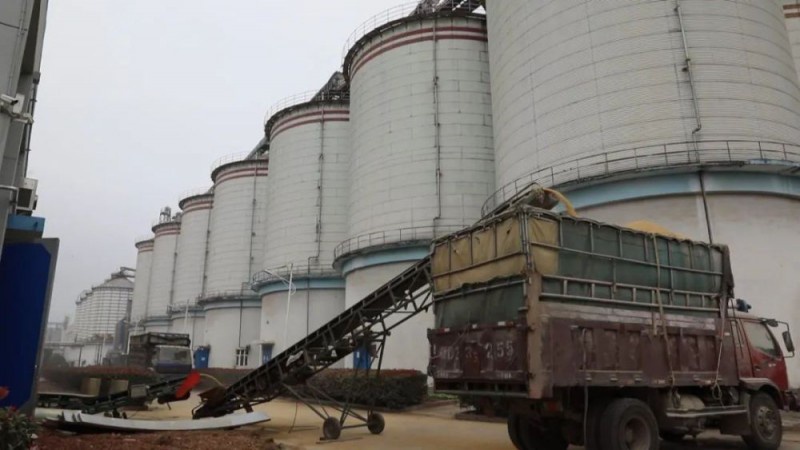 科技“保鮮”守好糧倉(cāng)第一關(guān)