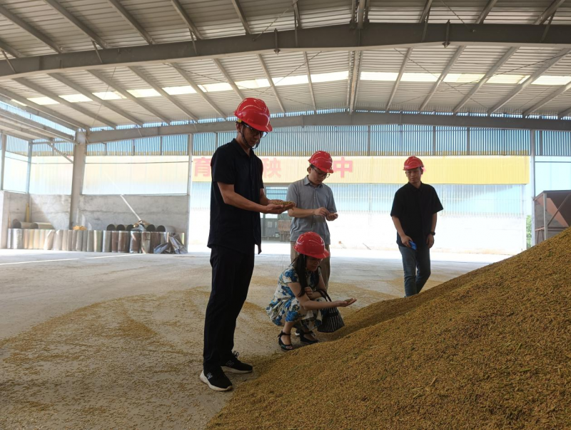 江糧集團(tuán)精準(zhǔn)監(jiān)督護(hù)航早稻收購(gòu)