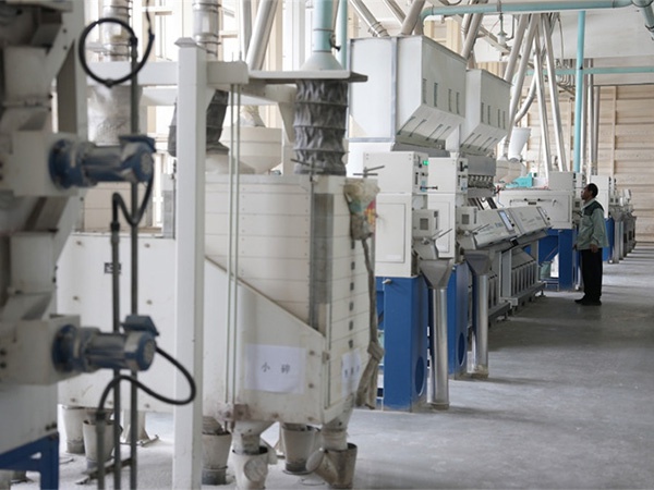 江糧集團(tuán)：糧食加工生產(chǎn)忙