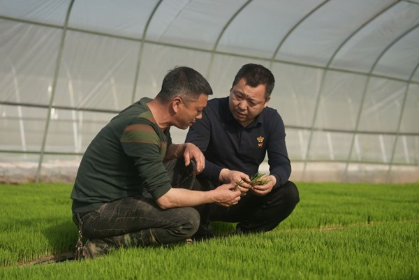 護(hù)春耕、提信心、保豐收——江糧集團(tuán)助力繪好“春耕圖”