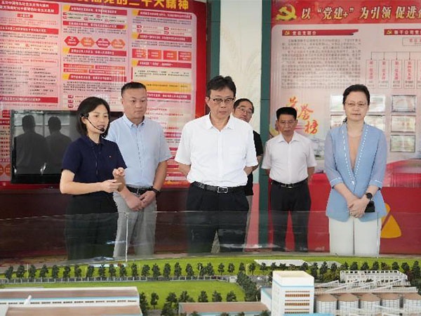 省糧食和物資儲(chǔ)備局領(lǐng)導(dǎo)到新干縣調(diào)研督導(dǎo)