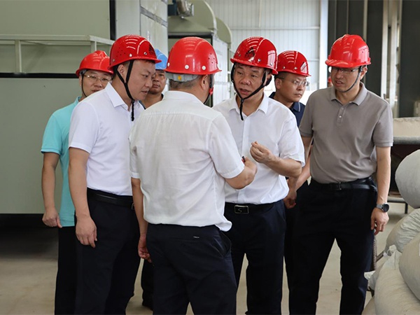 省農(nóng)業(yè)發(fā)展集團(tuán)黨委書記、董事長胡曉青到江糧集團(tuán)新干公司調(diào)研