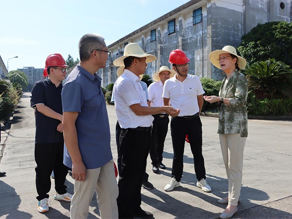 新干縣委書記譚曉艷到江糧集團(tuán)新干公司調(diào)研早稻收購及安全生產(chǎn)工作