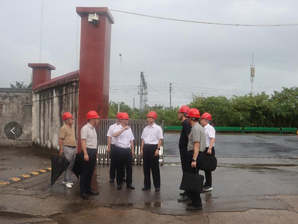 省國資委黨委委員、副主任馬健到集團所屬企業(yè)督導(dǎo)檢查夏糧收購安全生產(chǎn)工作