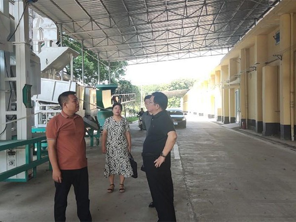 吉安市農(nóng)業(yè)農(nóng)村局黨委書記、局長張厚楷到江糧集團吉安儲備公司調(diào)研