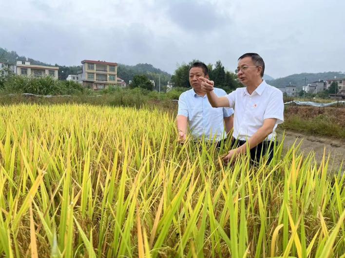 喜報(bào)！江糧集團(tuán)駐村工作隊(duì)榮獲年度考核“好”等次