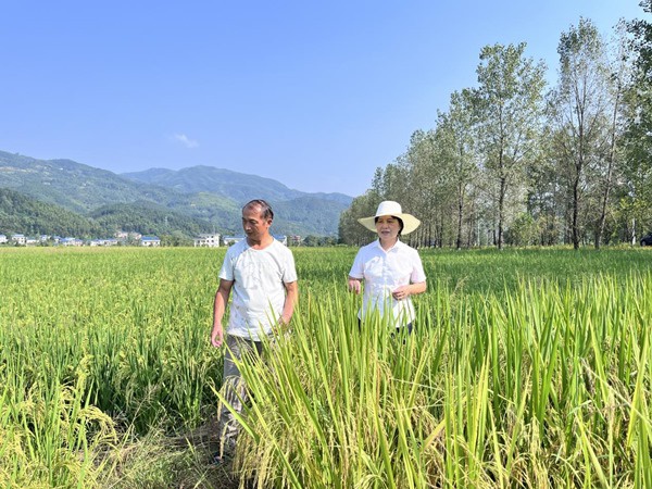 一粒稻谷的 72 變之旅，解鎖廚房健康密碼